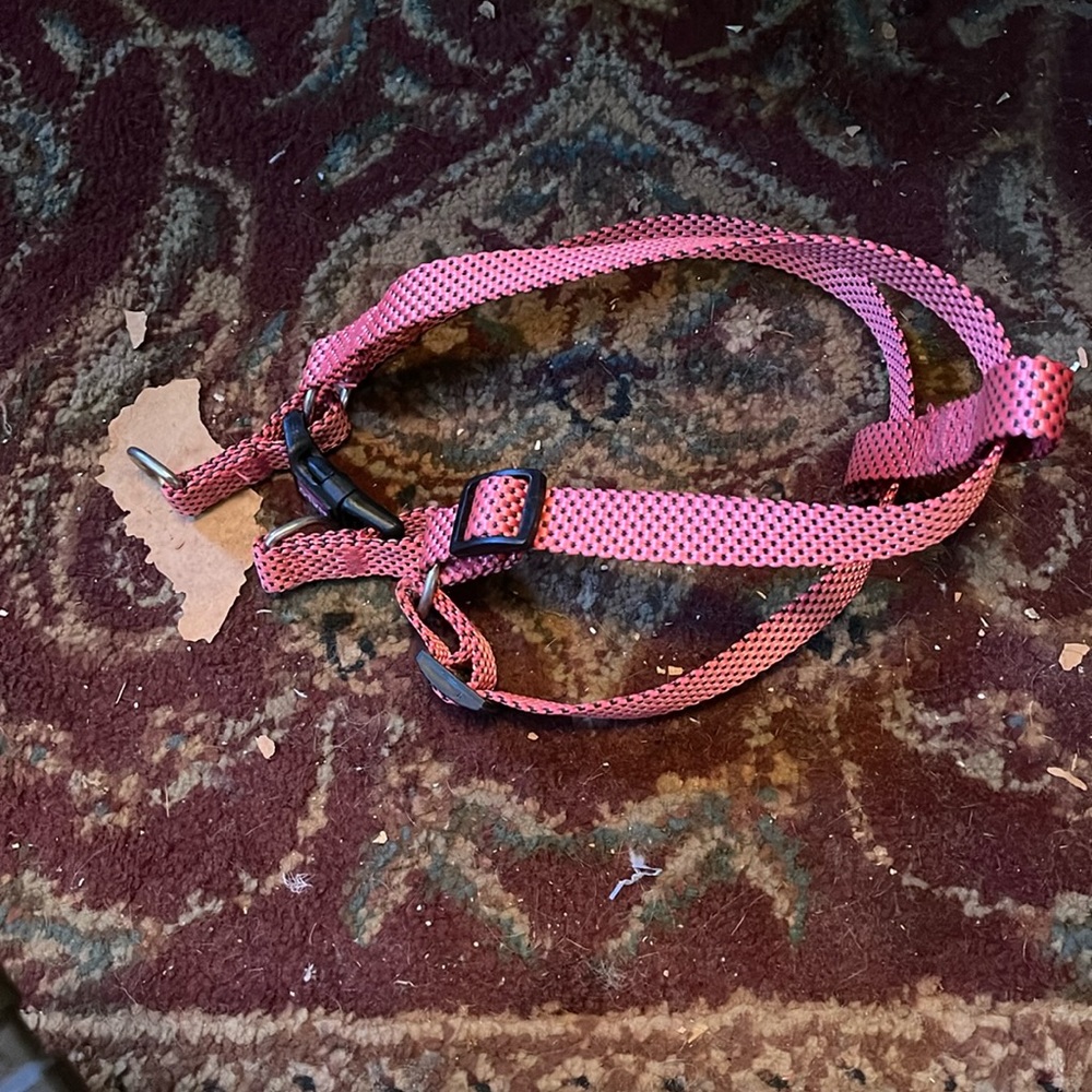 🔴DOG WALKING HARNESS-Deep hot pink WEBBING MEDIUM SIZE 21 Inches opened
